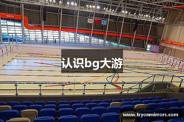 认识bg大游